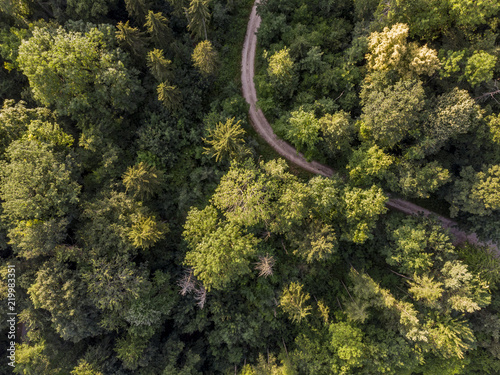 Waldweg von Oben - Luftaufnahme