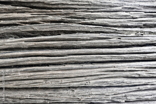 Texture old wood