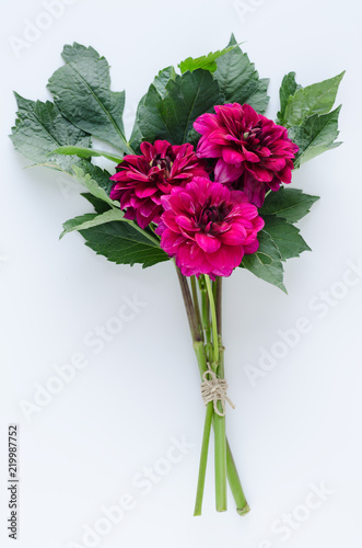 Fototapeta Naklejka Na Ścianę i Meble -  Bouquet of red dahlias on white background. Space to write.