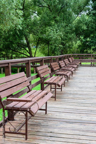 Row of wooden benches in the park
