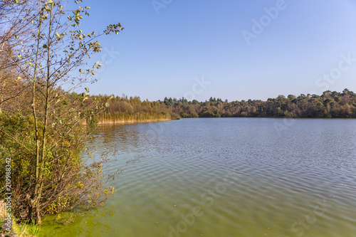 Oisterwijkse vennen in het najaar photo