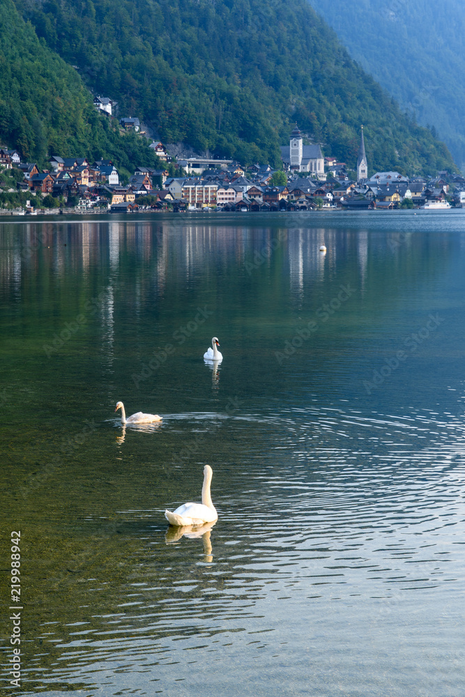 View of the Alpine town of Hallstatt on the shore of a mountain lake at sunset. Swans in the foreground