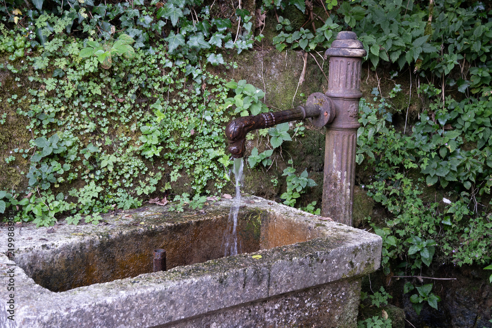 Old water pipe with a water tank on a background of green vegetation