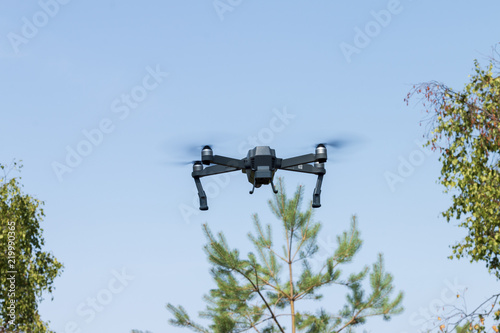 Drone flying over a pine tree