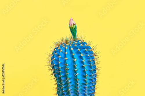 Blue Cactus. Fashion Design. Minimal Stillife. Trendy tropical print on Yellow. Surrealism. Pop Art
