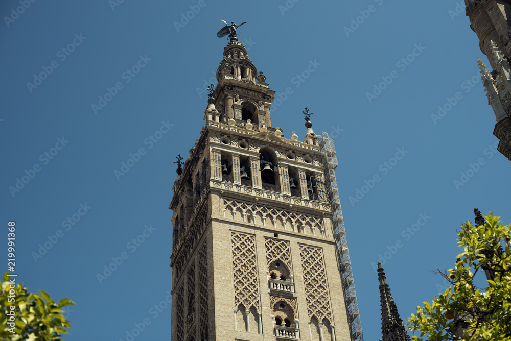 Imagen contrapicada de la torre de la Giralda rodeada de naranjos, Sevilla, España. Imagen diurna con cielo despejado azul de verano.