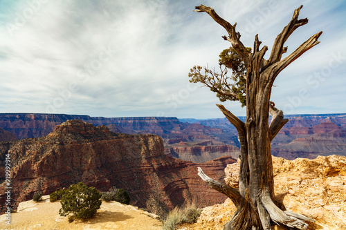 Grand Canyon landscape © Fotoluminate LLC