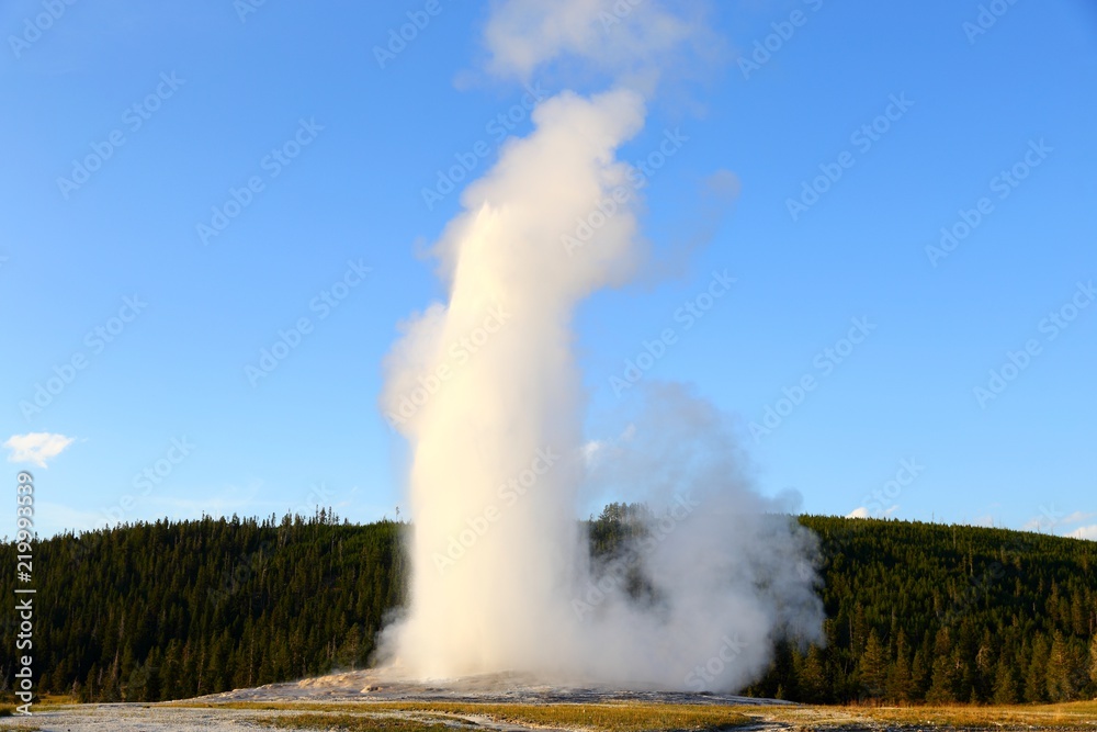 Old Faithful in Yellowstone national park, Wyoming, USA Old Faithful in Yellowstone national park, Wyoming, USA