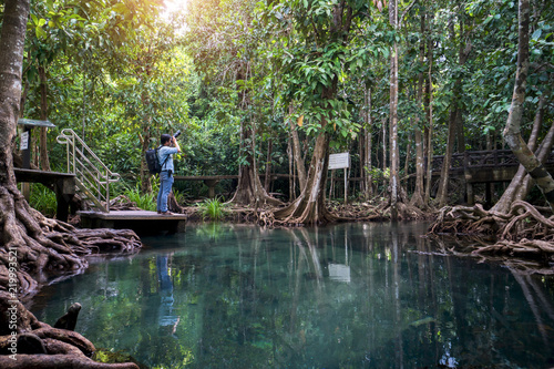 Tha pom mangrove forest, Emerald pool is unseen pool in mangrove forest at krabi, Krabi, Thailand © naruecha