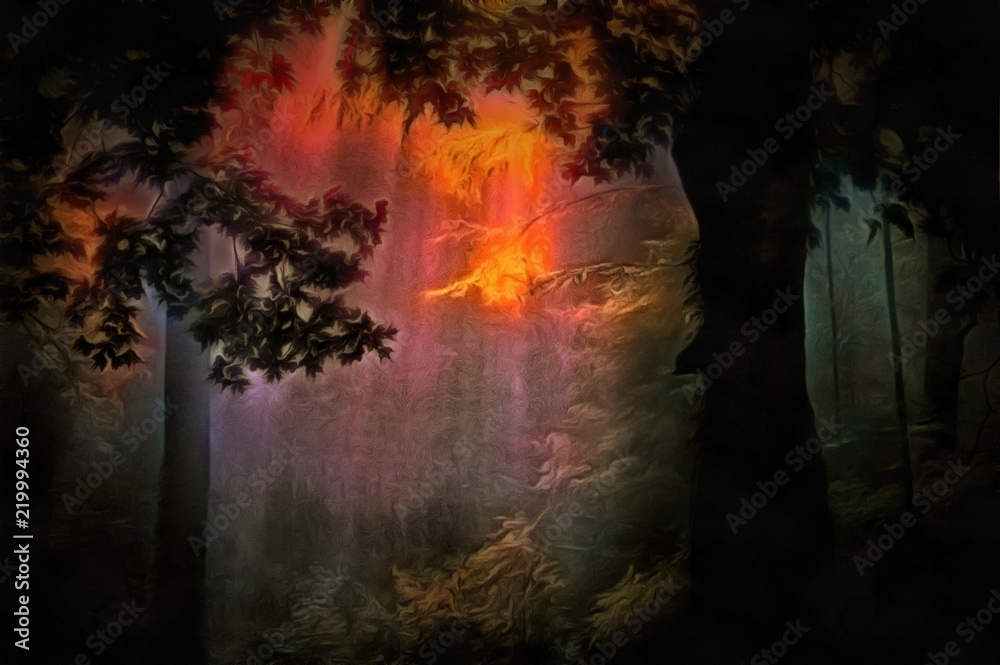 Forest dusk Forest dusk