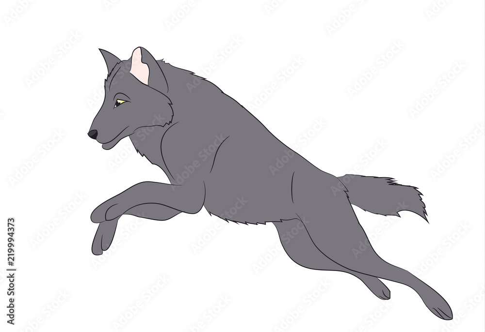 wolf runs, image color, vector