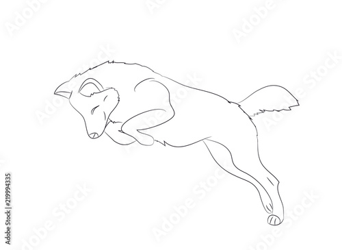 wolf runs, image lines, vector