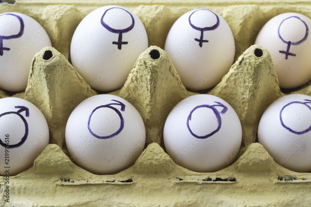 Signs of gender equality in chicken eggs.