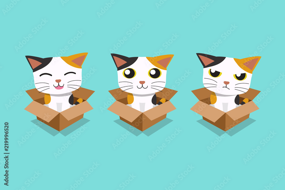 Fototapeta premium Vector cartoon illustration set of cat in cardboard box for design.