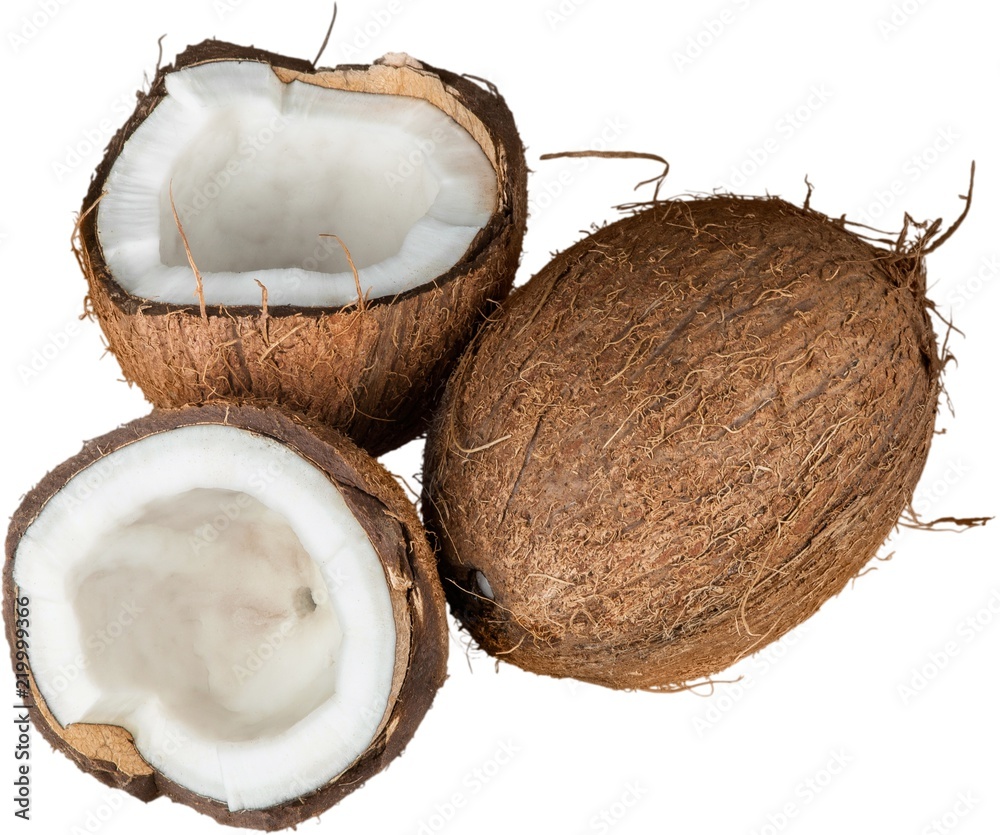 Coconuts Coconuts
