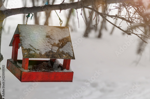 Bird feeder hanging from a tree in the winter forest © Bonsales
