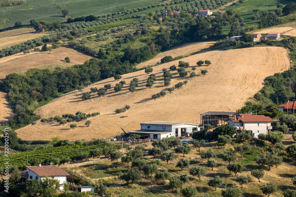 Panoramic view of olive groves and farms on rolling hills of Abruzzo. Italy