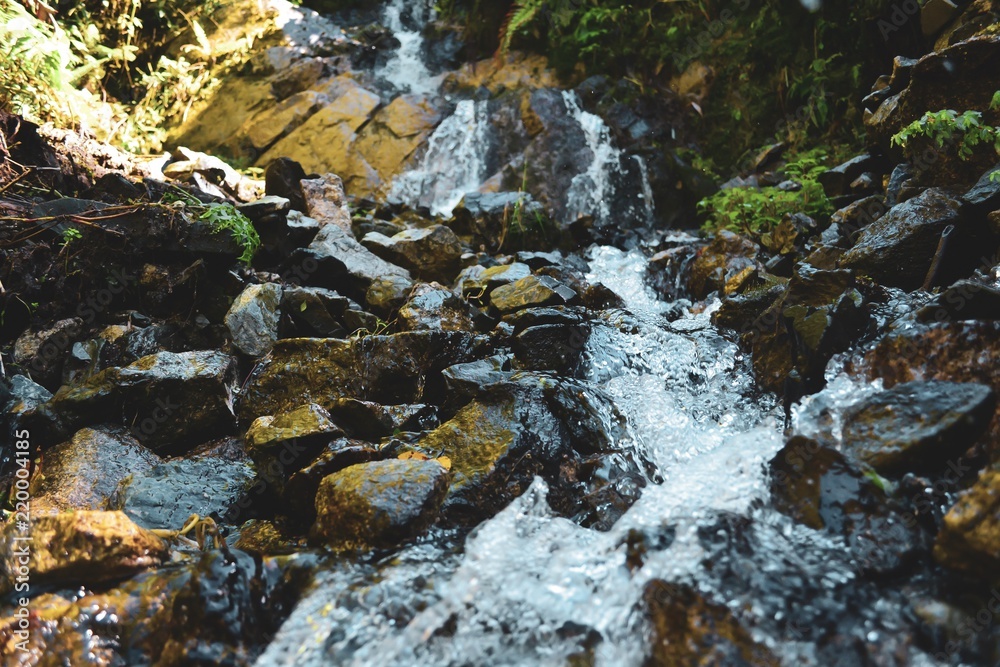 Jungle waterfall 2 Jungle waterfall 2