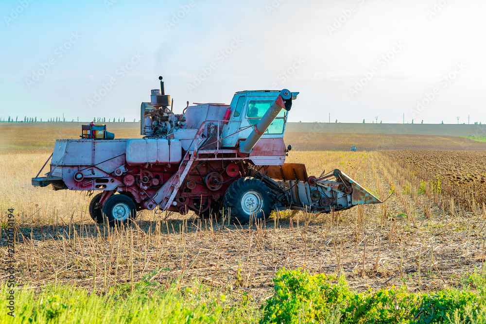 Obraz premium Harvester on the field mowing sowing, collects autumn harvest.