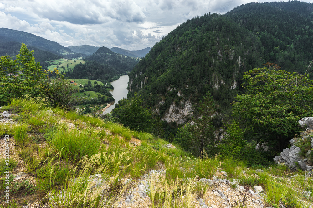 Obraz premium Landscape view of Zaovine and Spajici lake from the height, and the river Beli Rzav in Tara national park in Serbia in summer day