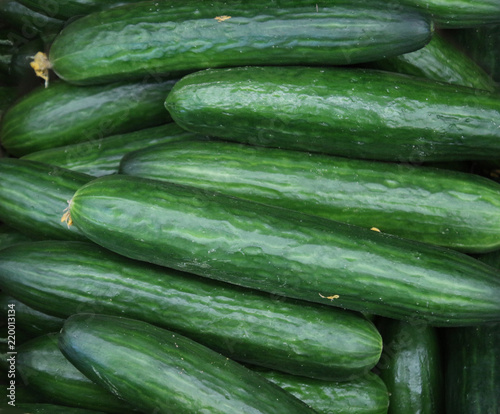 Background texture of vegetable. Close up of ripe green cucumbers on the counter market stall. view top. It can be used as backdrop.