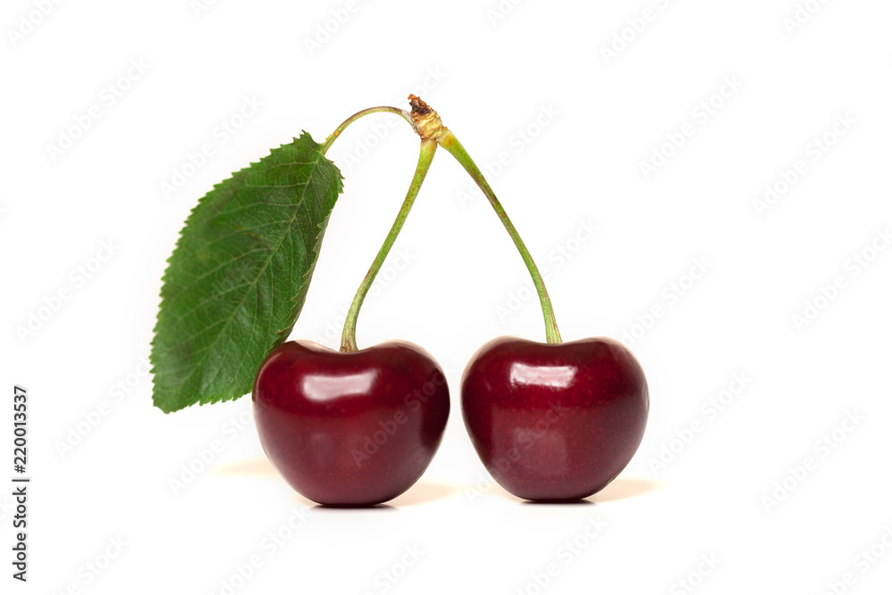 Two red ripe cherries with stems and a leaf on white background Two red ripe cherries with stems and a leaf on white background