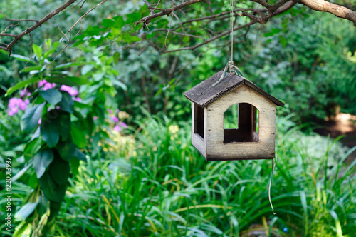 Small wooden house bird feeder in the park.