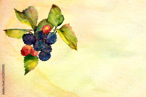 yellow watercolor ombre wash background texture with berries