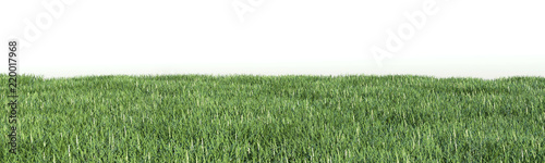 Grass, wide frame background