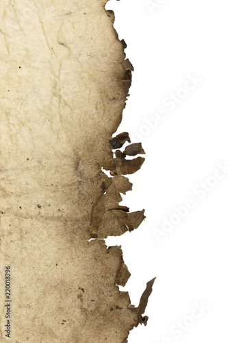 paper, burns on a white background