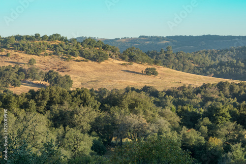 Early morning landscape in rural countryside, mountains and oak trees, blue sky