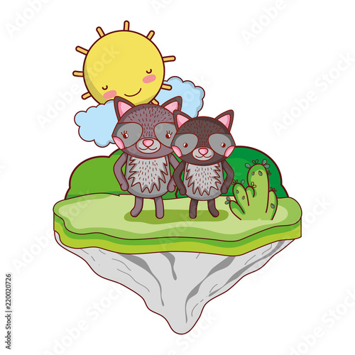 couple raccoon animal in the float island