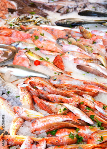 pesce fresco in pescheria
