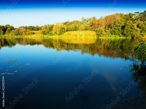 Forest river landscape background