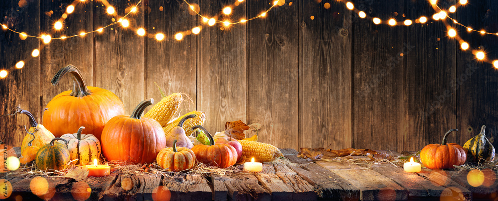 Thanksgiving With Pumpkins And Corncob On Wooden Table
 - obrazy, fototapety, plakaty 