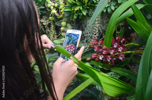 Photography Singapore Cloud Forest, Singapore, Asia