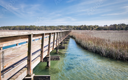 Wooden pier through southern marsh