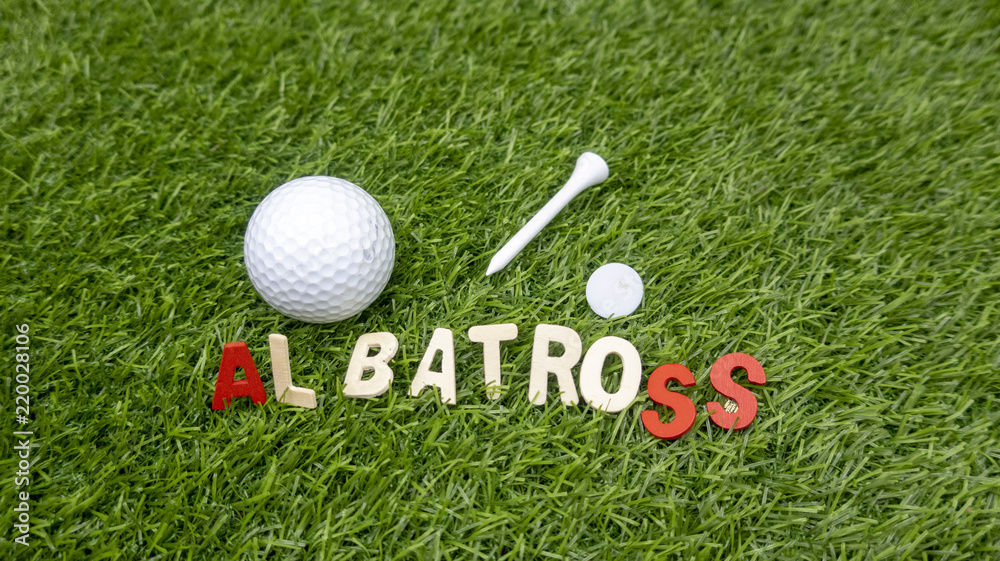 Albatross golf word with golf ball and tee on green grass Stock Photo |  Adobe Stock