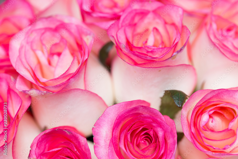 Roses in a bouquet for holidays
