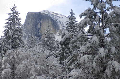 фотографія Half Dome rises from the surrounding winter wonderland that is Yosemite National Park