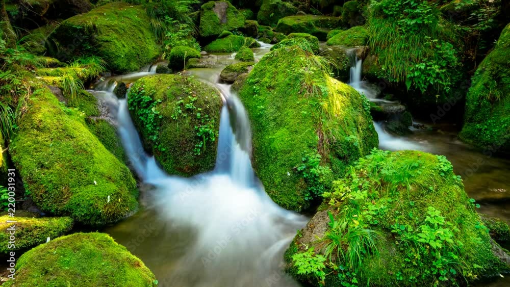 It expresses beautiful green mossy valley as Time lapse. Zoom in It expresses beautiful green mossy valley as Time lapse. Zoom in