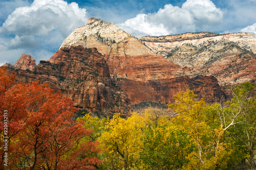 Observation Point, as viewed from the Grotto, hosts a palette of rich fall and sandstone colors in Zion National Park.