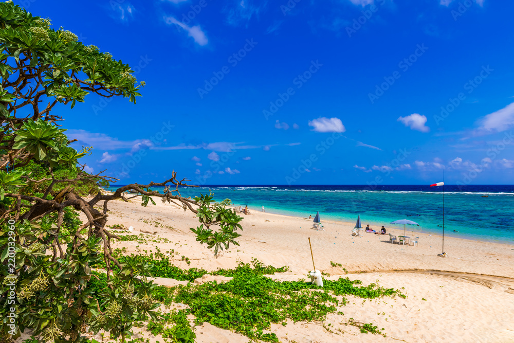 吉野海岸