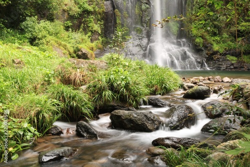 ゆうすい自然の森の滝と川
