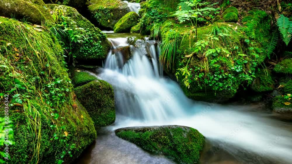 It expresses beautiful green mossy valley as Time lapse. Zoom in It expresses beautiful green mossy valley as Time lapse. Zoom in