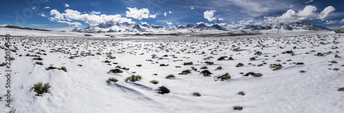 The great views of Lauca National Park landscapes with its amazing snow meadows over the Chilean altiplano during winter time, Arica, Chile