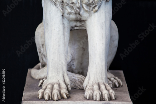 sculpture of the white lion paws © Sergey