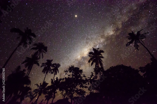 Milky way over palm trees at Samoa