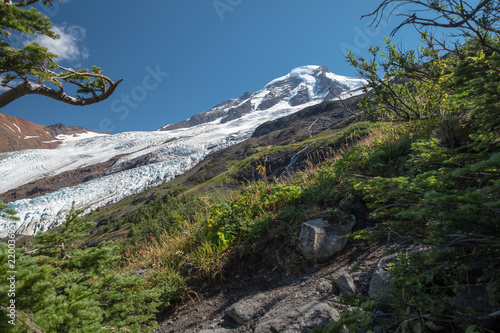 Coleman and Roosevelt Glaciers of Mount Baker from Hogsback trail photo