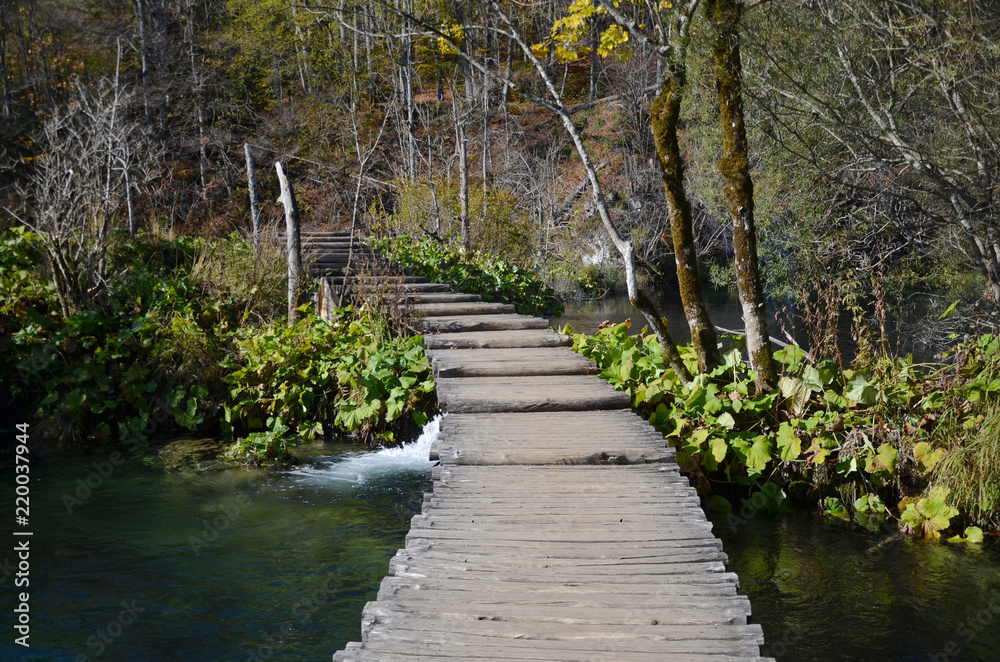 Obraz premium The Plitvice Lakes National Park, Croatia’s most popular tourist attraction. The beauty of the National Park lies in its sixteen lakes, inter-connected by a series of waterfalls, walkway & pond.